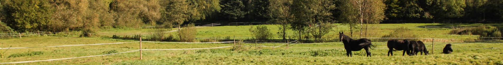 Was macht eigentlich der Bürgermeister in Großensee den ganzen Tag?