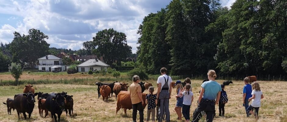 Ferienprogramm 2025 – Großensee mit sehr vielen Angeboten dabei